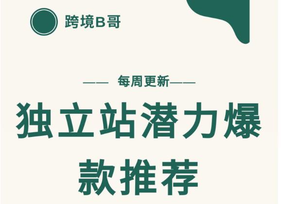 【跨境B哥】独立站潜力爆款选品推荐，测款出单率高达百分之80-汇课新知资源网