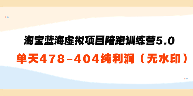 淘宝蓝海虚拟项目陪跑训练营5.0：单天478纯利润-汇课新知资源网