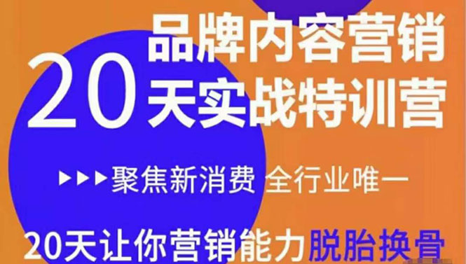 《内容营销实操特训营》20天让你营销能力脱胎换骨（价值3999）-汇课新知资源网