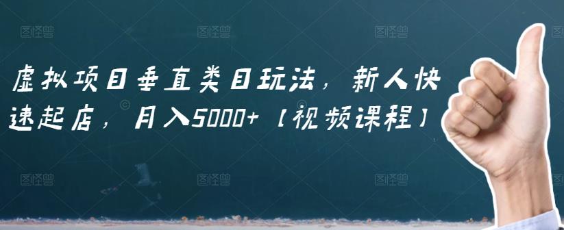 虚拟项目垂直类目玩法，新人快速起店，月入5000+【视频课程】-汇课新知资源网