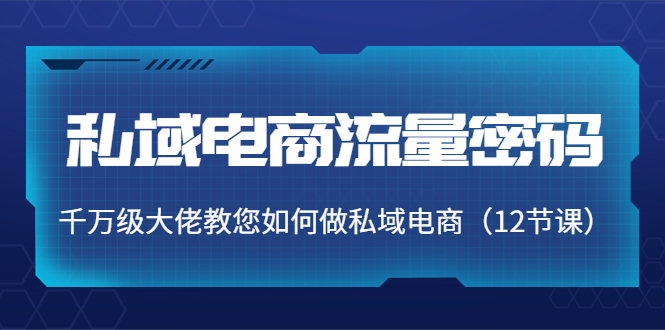 私域电商流量密码：千万级大佬教您如何做私域电商（12节课）-汇课新知资源网