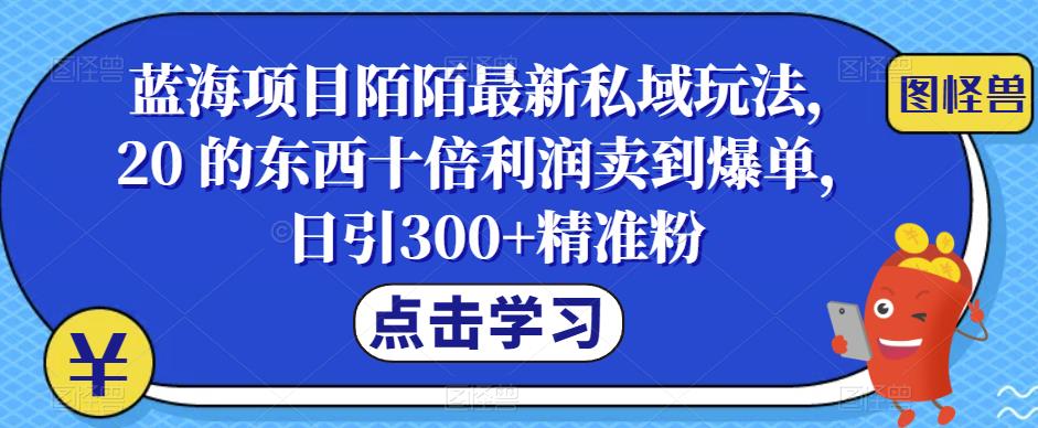 蓝海项目陌陌最新私域玩法，20 的东西十倍利润卖到爆单，日引300+精准粉【揭秘】-汇课新知资源网