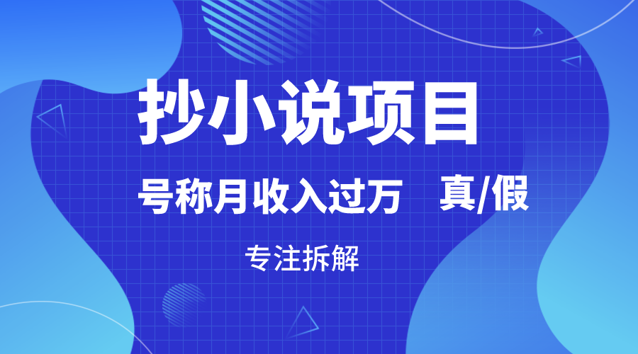 抄小说项目，号称月入过万，到底是否真实，能不能做，详细拆解-汇课新知资源网