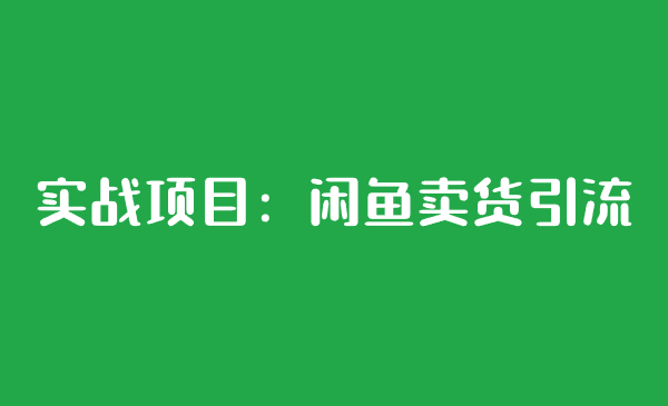 实战项目：闲鱼卖货引流-汇课新知资源网