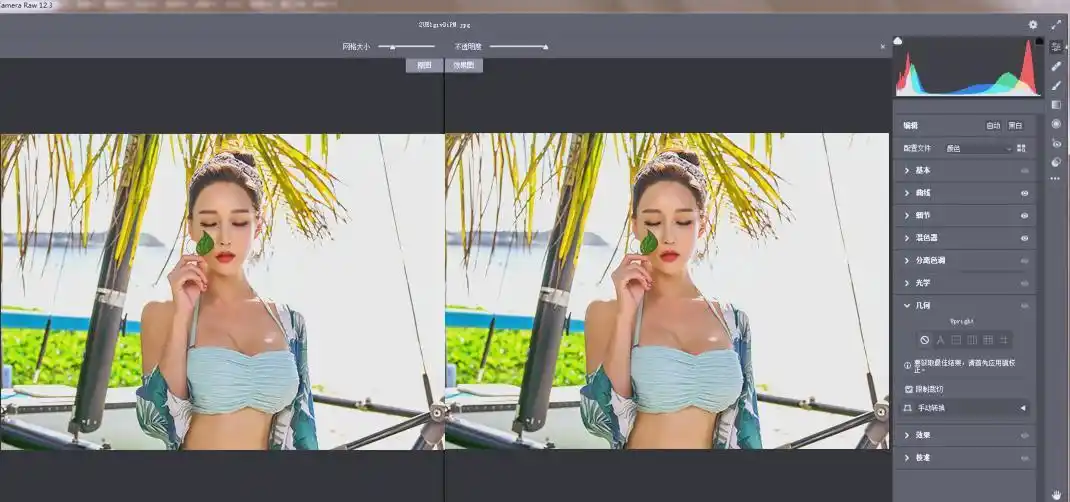 RAW处理Adobe Camera Raw v18.7.0中文版--第4张图片
